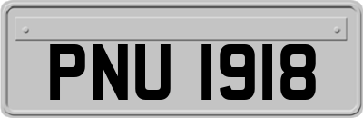 PNU1918