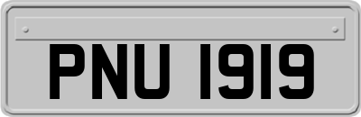PNU1919