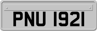 PNU1921