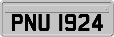PNU1924