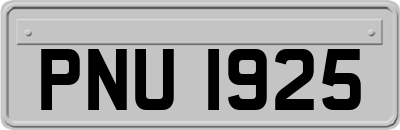 PNU1925