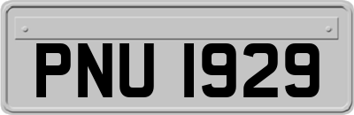 PNU1929