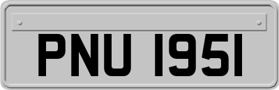 PNU1951
