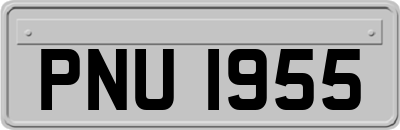 PNU1955