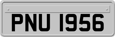 PNU1956