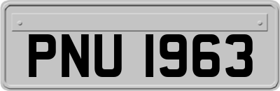PNU1963