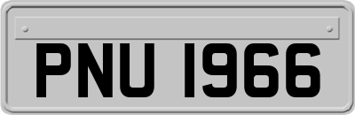 PNU1966