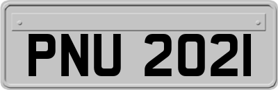 PNU2021