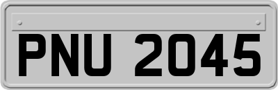 PNU2045