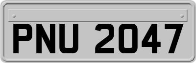 PNU2047