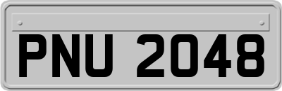PNU2048