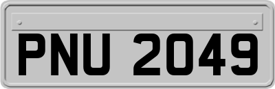 PNU2049