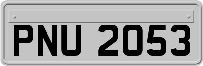 PNU2053