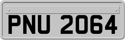 PNU2064