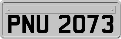 PNU2073