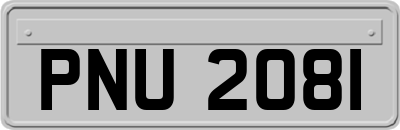 PNU2081
