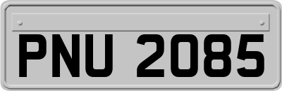 PNU2085