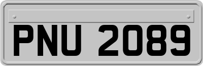 PNU2089