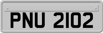 PNU2102