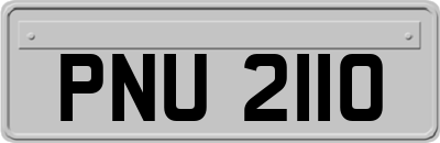 PNU2110