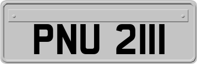 PNU2111