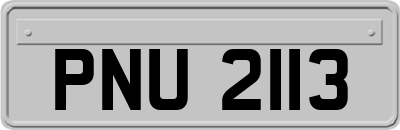 PNU2113