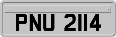 PNU2114