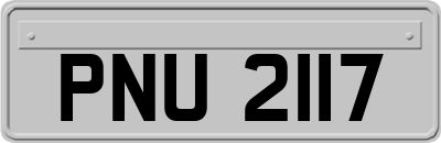 PNU2117