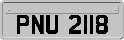 PNU2118