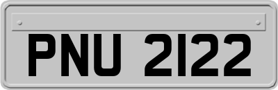 PNU2122
