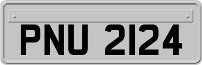 PNU2124