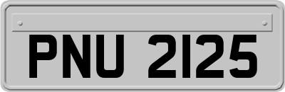 PNU2125