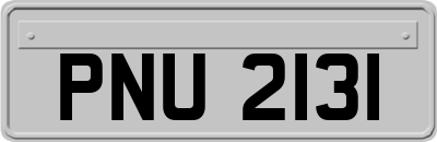 PNU2131