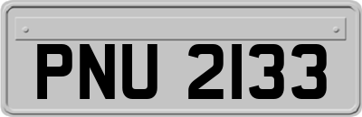 PNU2133