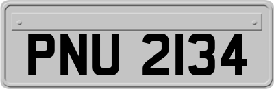 PNU2134