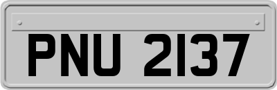 PNU2137