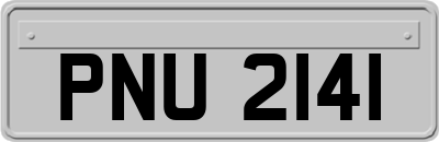 PNU2141