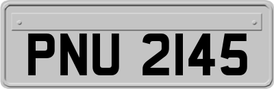 PNU2145
