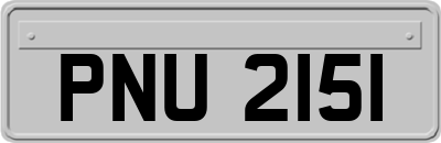PNU2151