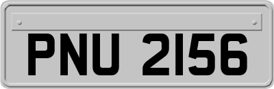 PNU2156