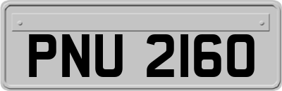 PNU2160