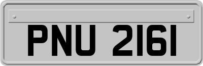 PNU2161