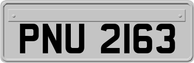 PNU2163