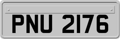 PNU2176