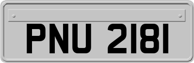 PNU2181