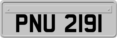 PNU2191