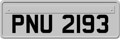 PNU2193