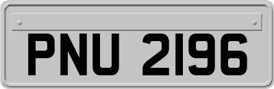 PNU2196