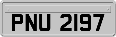 PNU2197