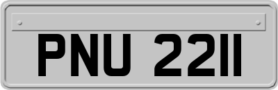PNU2211